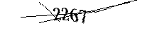 Por favor, escriba las letras y los números siguientes