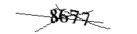 Por favor, escriba las letras y los números siguientes