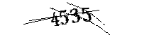 Por favor, escriba las letras y los números siguientes