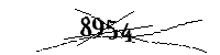 Por favor, escriba las letras y los números siguientes