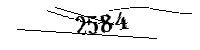 以下に文字と数字を入力してください