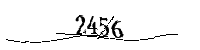 Please enter the numbers below