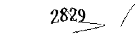 以下に文字と数字を入力してください