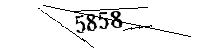 Por favor, escriba las letras y los números siguientes