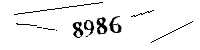 Please enter the numbers below