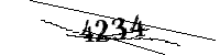 Por favor, escriba las letras y los números siguientes