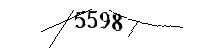 以下に文字と数字を入力してください