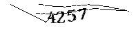 Por favor, escriba las letras y los números siguientes