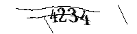 以下に文字と数字を入力してください