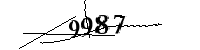 Please enter the numbers below