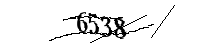 Por favor, escriba las letras y los números siguientes