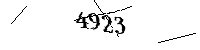Bitte geben Sie die gezeigten Buchstaben und Zahlen ein