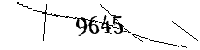 Si prega di digitare le lettere e i numeri qui sotto