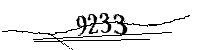 Bitte geben Sie die gezeigten Buchstaben und Zahlen ein