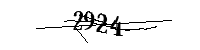 以下に文字と数字を入力してください