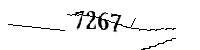 Por favor, escriba las letras y los números siguientes