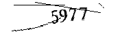 Por favor, escriba las letras y los números siguientes