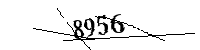Si prega di digitare le lettere e i numeri qui sotto