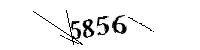 Si prega di digitare le lettere e i numeri qui sotto