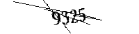Por favor, escriba las letras y los números siguientes