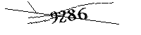 Si prega di digitare le lettere e i numeri qui sotto