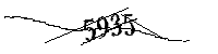 Por favor, escriba las letras y los números siguientes