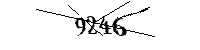 Si prega di digitare le lettere e i numeri qui sotto