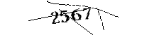 以下に文字と数字を入力してください