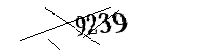 Si prega di digitare le lettere e i numeri qui sotto