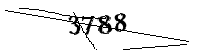 Por favor, escriba las letras y los números siguientes
