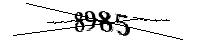 Por favor, escriba las letras y los números siguientes