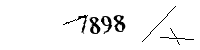 Please enter the numbers below