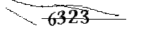 Por favor, escriba las letras y los números siguientes