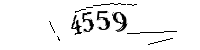 Por favor, escriba las letras y los números siguientes