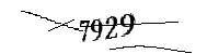 Si prega di digitare le lettere e i numeri qui sotto