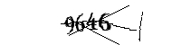 Por favor, escriba las letras y los números siguientes
