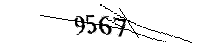 Por favor, escriba las letras y los números siguientes