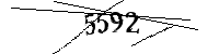 以下に文字と数字を入力してください