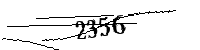 以下に文字と数字を入力してください
