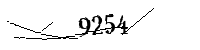 Por favor, escriba las letras y los números siguientes
