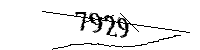 Por favor, escriba las letras y los números siguientes