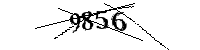 Por favor, escriba las letras y los números siguientes