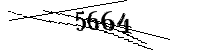 Por favor, escriba las letras y los números siguientes