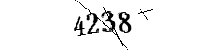 Por favor, escriba las letras y los números siguientes
