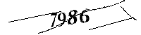 Please enter the numbers below