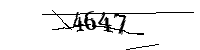 以下に文字と数字を入力してください