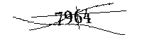 Por favor, escriba las letras y los números siguientes