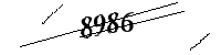 Si prega di digitare le lettere e i numeri qui sotto
