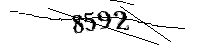 以下に文字と数字を入力してください