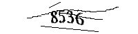 Por favor, escriba las letras y los números siguientes